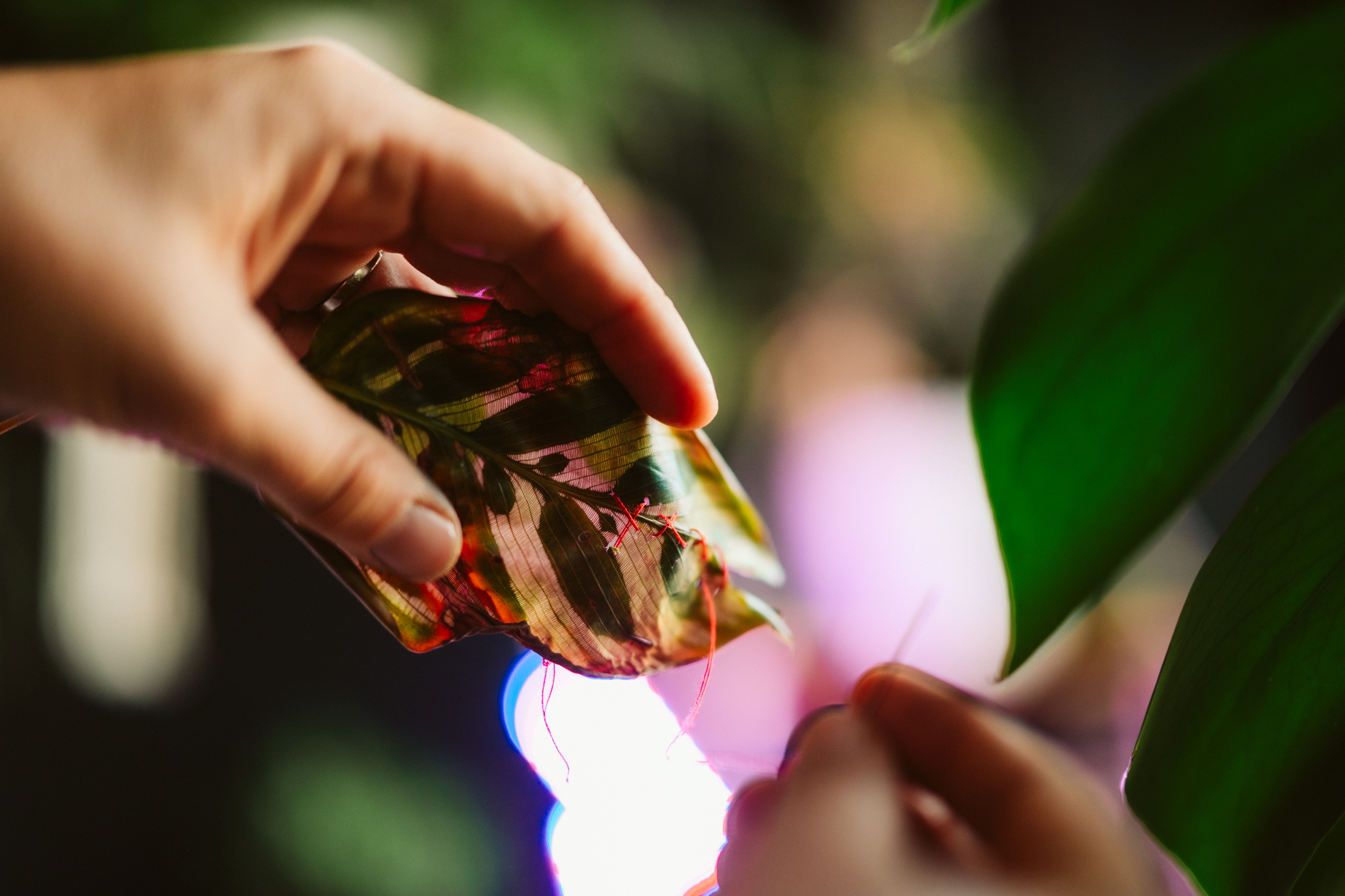 I can fix him (No really I can}